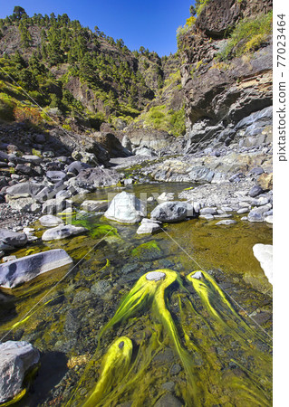 Barranco de las Angustias, Caldera de Taburiente National Park, Spain 77023464