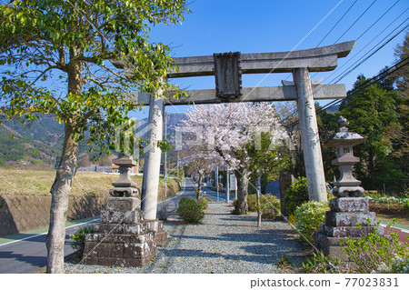 [Hadano City] Kominoge Torii 77023831