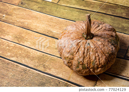 Pumpkin on wooden floor background Pumpkin Mini Tientsin Pakchoi Pumpkin on white background Organic system Pumpkin on wooden floor background Pumpkin Mini Tientsin Pakchoi Pumpkin on white background Organic system 77024129