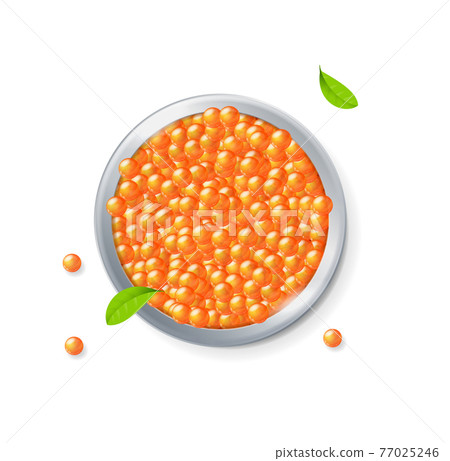 Realistic Detailed 3d Red Caviar Can. Vector 77025246