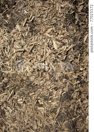 Photograph of wood chips and dead plants scattered on the ground Photograph of wood chips and dead plants scattered on the ground 77025572