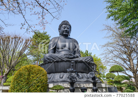 Shrines and temples Spring Tokyo Daibutsu Jorenji Temple Itabashi-ku, Tokyo 77025588