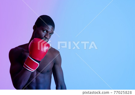 Determined young black boxer with bare torso wearing fighting gloves, looking at camera in neon light, copy space Determined young black boxer with bare torso wearing fighting gloves, looking at camera in neon light, copy space 77025828