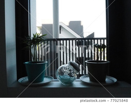 Plants on the window side Plants on the window side 77025848