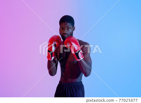 Professional young black boxer with bare torso wearing red gloves, ready for fight in neon lighting. Professional sports Professional young black boxer with bare torso wearing red gloves, ready for fight in neon lighting. Professional sports 77025877