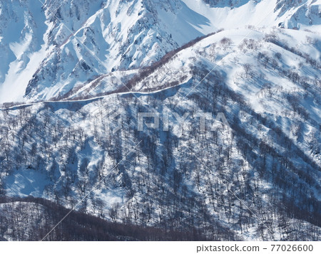 從白馬岩竹雪原眺望帶畑山和飛簷的山脊線 77026600