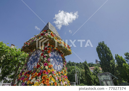 The famous clock tower, one of the city of Graz attractions, made of flowers and the real Clock Tower (Grazer Uhrturm) in the background in Styria region, Austria, in sunny spring day 77027374