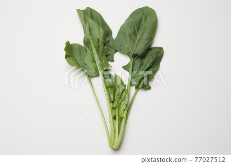 1 strain of spinach 1 strain of spinach 77027512