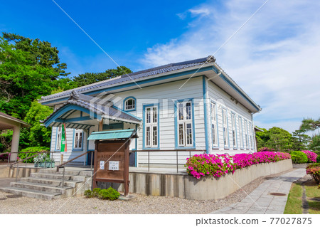 海濱文學紀念館,盛開的杜鵑花<愛知縣蒲郡市> 海濱文學紀念館,盛開的杜鵑花<愛知縣蒲郡市> 77027875