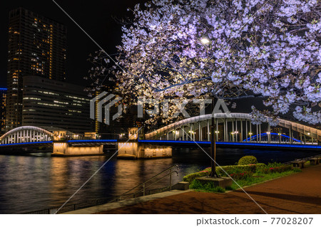 [東京] Kachidoki Bridge_Night view_01 77028207