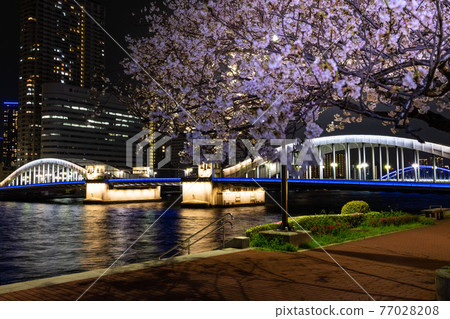 [Tokyo] Kachidoki Bridge_Night view_02 77028208