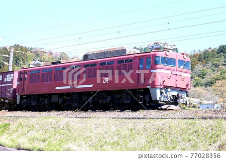 JR Freight EF81 404 AC / DC electric locomotive JR Freight EF81 404 AC / DC electric locomotive 77028356