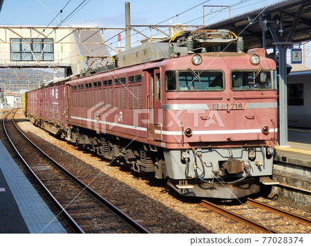 JR Freight EF81 716 AC/DC電力機車 77028374