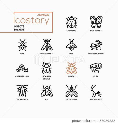 Insects collection - modern line design style icons set 77029882