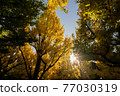 Jingu Outer Garden Ichigo Namiki 77030319