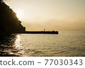 At dusk on Enoshima 77030343
