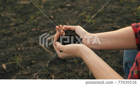 The hands of a peasant woman hold a handful of fertile soil with their bare hands, a view from above. The concept of agriculture, agribusiness 77030516