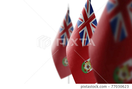 Small national flags of the Bermuda on a white background 77030623