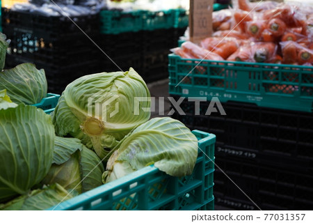 One day vegetables 77031357