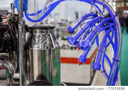 Teat cups of automated cow milking suction machine at exhibition: close up Teat cups of automated cow milking suction machine at exhibition: close up 77033696
