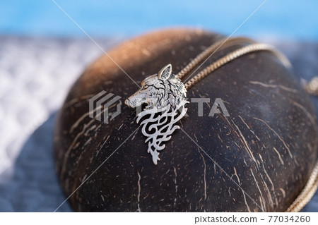 Pendant wolf head necklace golden color stainless steel shoot outside in a sunny day closeup. Selective Focus 77034260
