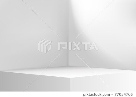 Empty Corner, Room Inner Space, Interior Mock Up 77034766