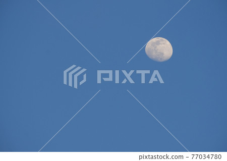 月圓(13月夜,12歲)・ 2021年4月24日 月圓(13月夜,12歲)・ 2021年4月24日 77034780