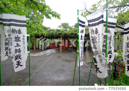 Kanagawa Prefecture Rainy Kamakura Tsurugaoka Hachimangu June Hataage Benzaitensha 77035088