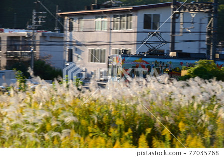 Train Autumn Iga Railway 77035768