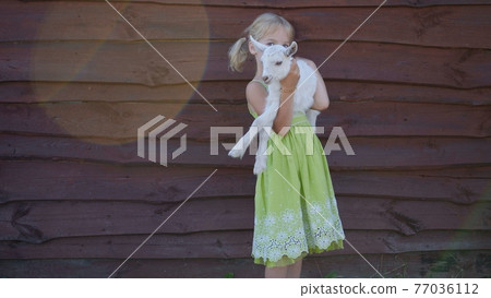 6 year old girl holding a small goat in her arms. 6 year old girl holding a small goat in her arms. 77036112