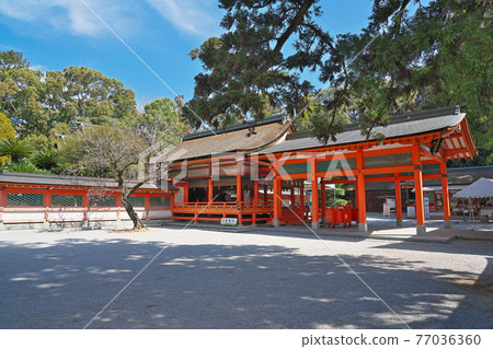 [Kashiigu] Kashii, Higashi-ku, Fukuoka City, Fukuoka Prefecture 77036360