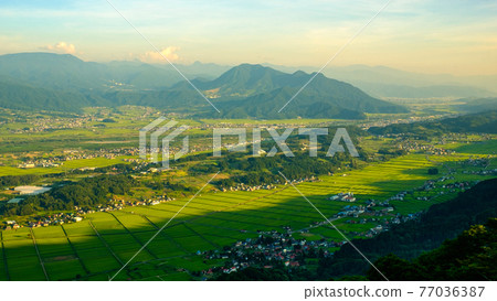 從平丸山口眺望飯山市（夏/夜景） 77036387