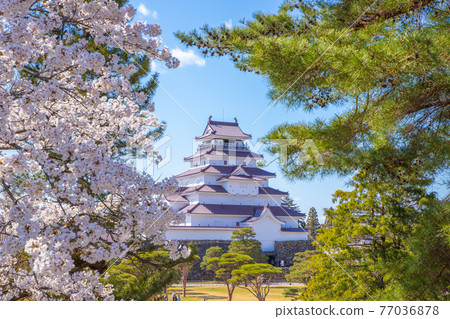 福島縣春天敦賀城 77036878