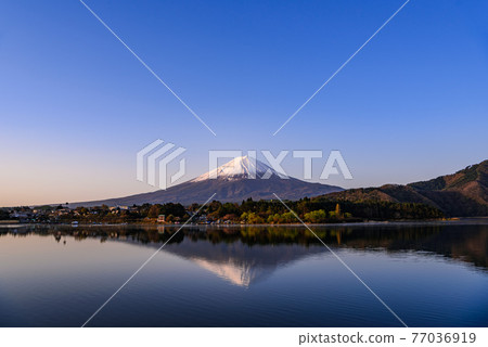 (Yamanashi) The sky at dawn and upside down Fuji (Yamanashi) The sky at dawn and upside down Fuji 77036919