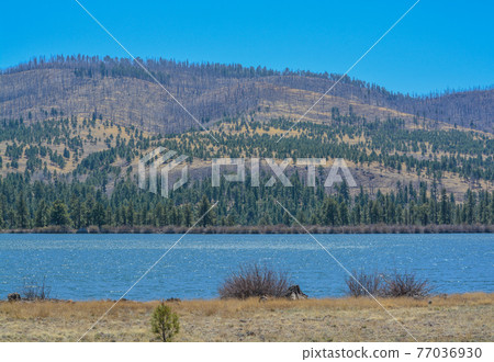 Tunnel Reservoir in the high country of the White Mountains in Greer, Arizona 77036930