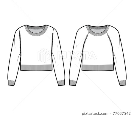 Set of Round neck cropped Sweaters technical fashion illustration with long raglan sleeves, waist length, knit trim Set of Round neck cropped Sweaters technical fashion illustration with long raglan sleeves, waist length, knit trim 77037542