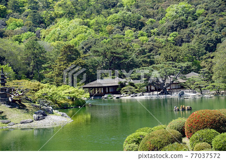 漫步大名庭園形象 特別風景栗林庭園 南湖 漫步大名庭園形象 特別風景栗林庭園 南湖 77037572