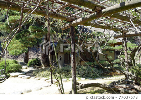 漫步大名庭園形象特別風景栗林庭園 漫步大名庭園形象特別風景栗林庭園 77037578