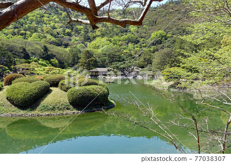 漫步大名庭園形象 特別風景栗林庭園 南湖 漫步大名庭園形象 特別風景栗林庭園 南湖 77038307