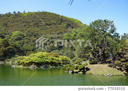 漫步大名庭園形象 特別風景栗林庭園 南湖 漫步大名庭園形象 特別風景栗林庭園 南湖 77038310
