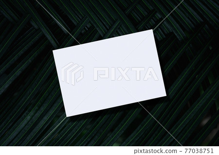 Closeup of empty white paper mockup on green palm leaf background. Closeup of empty white paper mockup on green palm leaf background. 77038751