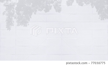 White concrete block wall textured with shadow of the tree for background. 77038775