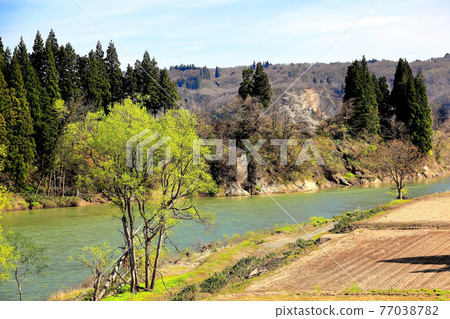 山形縣最上川畔的春天 山形縣最上川畔的春天 77038782