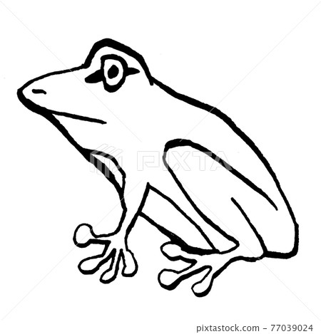 樹蛙的側向插圖線描 樹蛙的側向插圖線描 77039024