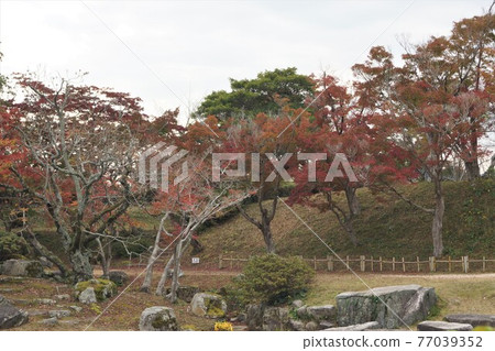 Autumn leaves in Mori Garden, Hofu City, Yamaguchi Prefecture Autumn leaves in Mori Garden, Hofu City, Yamaguchi Prefecture 77039352
