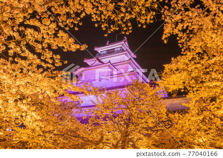 Fukushima Prefecture Spring Tsuruga Castle Illuminated 77040166