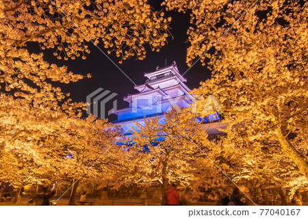 福島縣春天敦賀城燈火通明 77040167