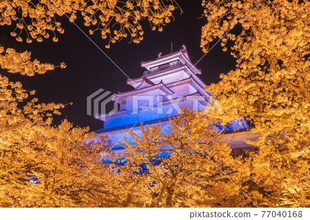 Fukushima Prefecture Spring Tsuruga Castle Illuminated 77040168