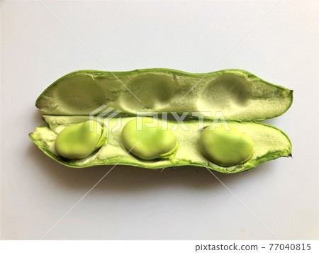 豆莢裡的蠶豆 77040815