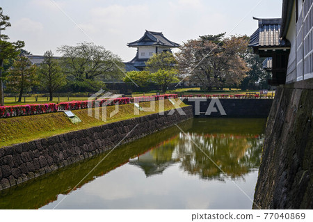 杜鵑花盛開的金澤城公園的春景 77040869